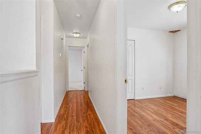 833 E 21st Street, Greeley, CO 80631