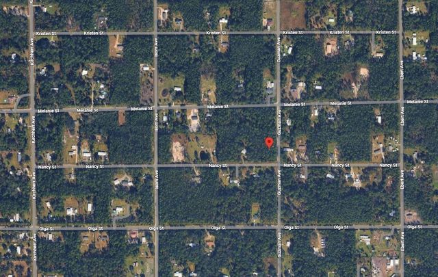 4300 Nancy Street, Hastings, FL 32145