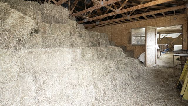 456 Canaan Road, Ellenburg Depot, NY 12935