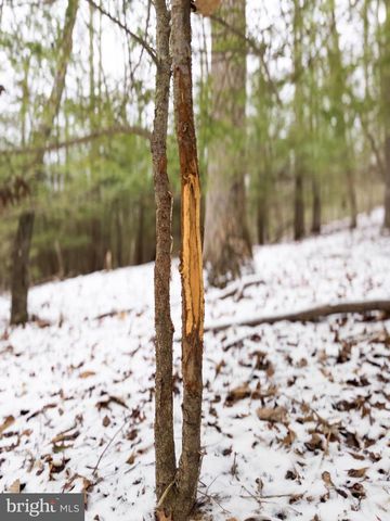 5344 BACK VALLEY RD, Lindside, WV 24951