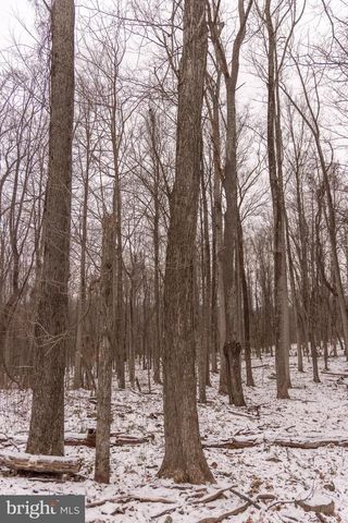 5344 BACK VALLEY RD, Lindside, WV 24951