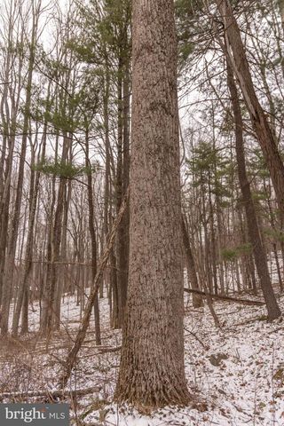 5344 BACK VALLEY RD, Lindside, WV 24951