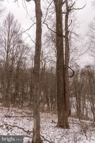 5344 BACK VALLEY RD, Lindside, WV 24951