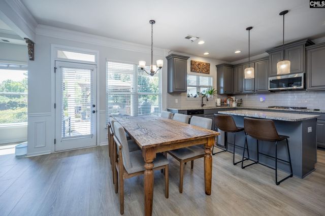 730 Autumn Shiloh Drive, Chapin, SC 29036