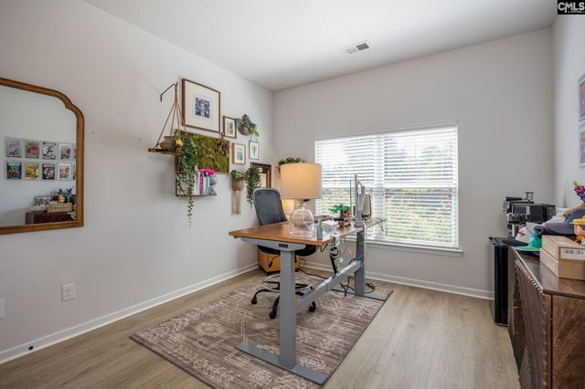 730 Autumn Shiloh Drive, Chapin, SC 29036