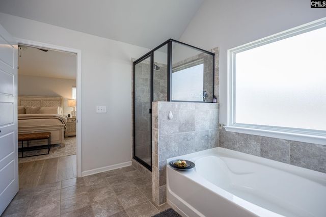 730 Autumn Shiloh Drive, Chapin, SC 29036