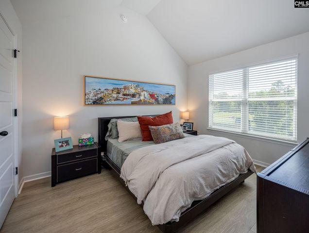 730 Autumn Shiloh Drive, Chapin, SC 29036