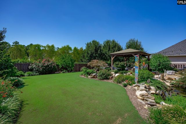 730 Autumn Shiloh Drive, Chapin, SC 29036