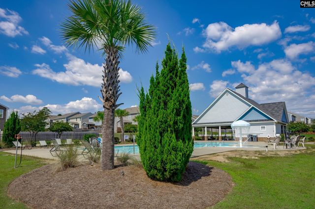 730 Autumn Shiloh Drive, Chapin, SC 29036