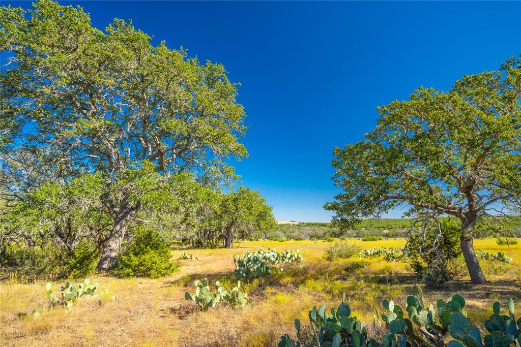 391 Henry P Schmidt RD, Fredericksburg, TX 78624