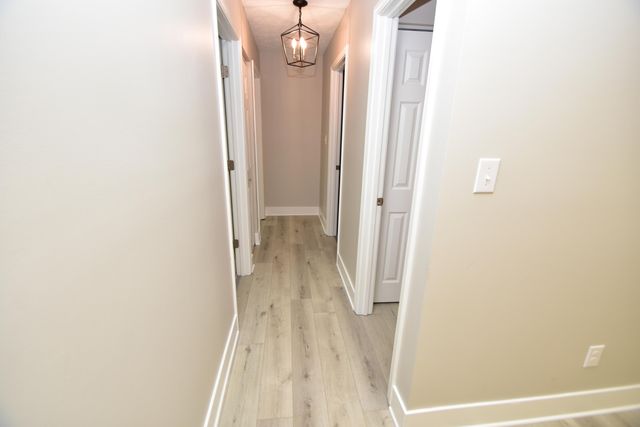 3805 Wedgewood Court, Lexington, KY 40514