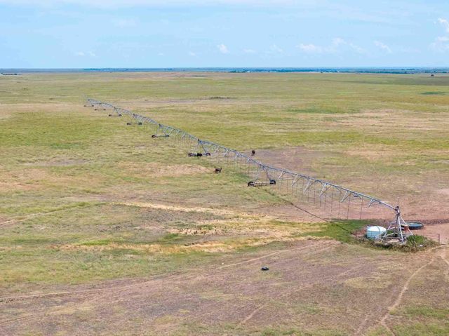 Bourquin Cattle 495 Ac, Follett, TX 79034