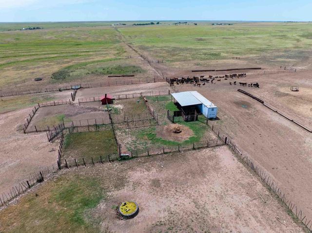 Bourquin Cattle 495 Ac, Follett, TX 79034