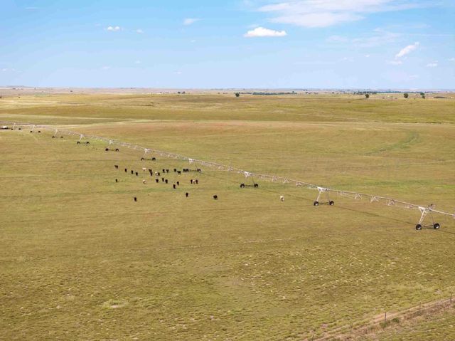 Bourquin Cattle 495 Ac, Follett, TX 79034