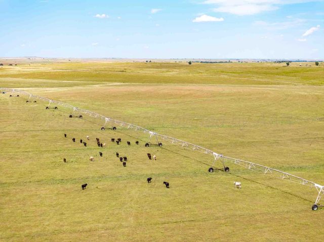Bourquin Cattle 495 Ac, Follett, TX 79034