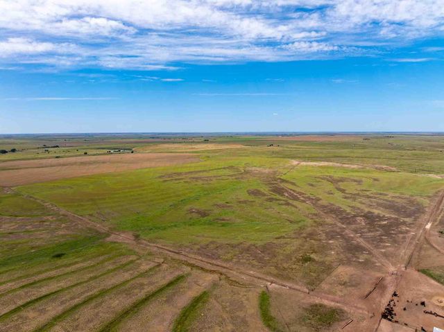 Bourquin Cattle 495 Ac, Follett, TX 79034