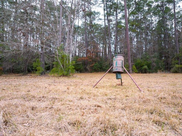 5259 Fm 946, Coldspring, TX 77331