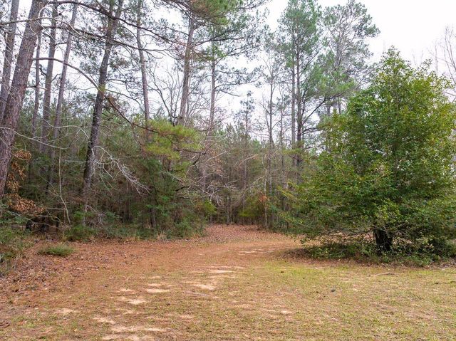 5259 Fm 946, Coldspring, TX 77331