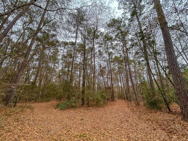 5259 Fm 946, Coldspring, TX 77331