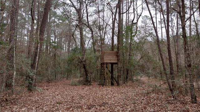 5259 Fm 946, Coldspring, TX 77331