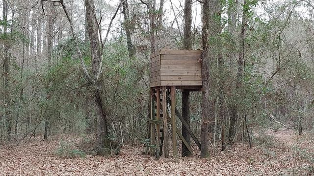 5259 Fm 946, Coldspring, TX 77331