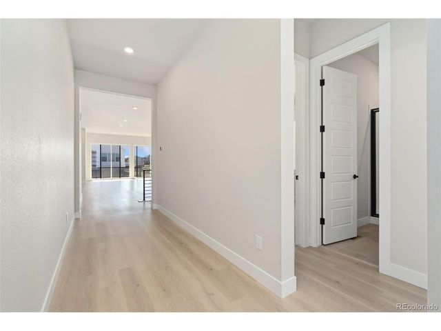 1683 Sundown Run Dr, Windsor, CO 80550