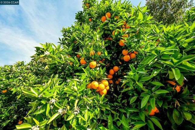 2007 Calle Los Callados, Diablo, CA 94528