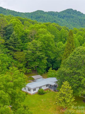 1350 N Skeenah Road, Franklin, NC 28734