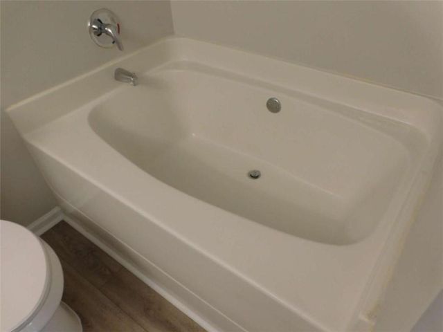 4409 Plum Frost Court, Oakwood, GA 30566