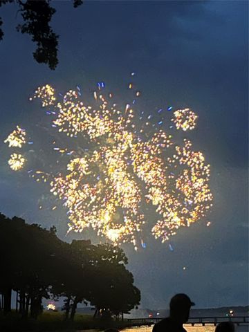 336 Private Road 5517, Alba, TX 75410