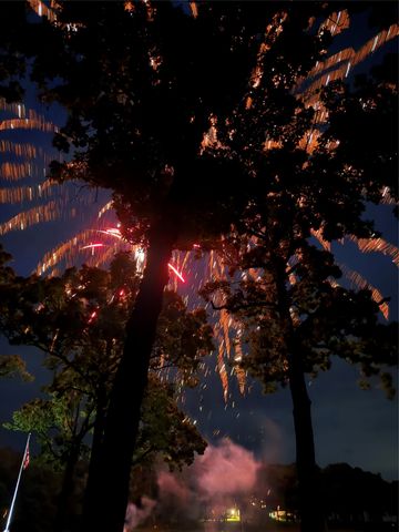 336 Private Road 5517, Alba, TX 75410