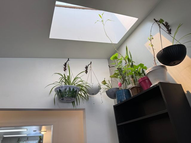 14764 Tanyard Hill Rd, Pine Grove, CA 95665