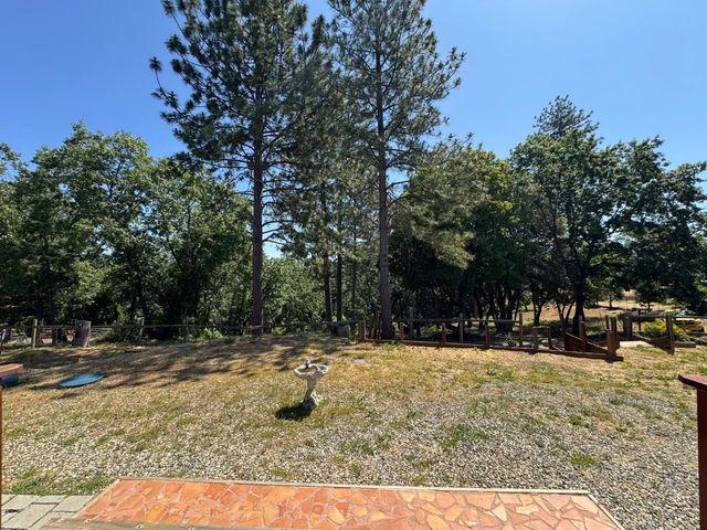 14764 Tanyard Hill Rd, Pine Grove, CA 95665