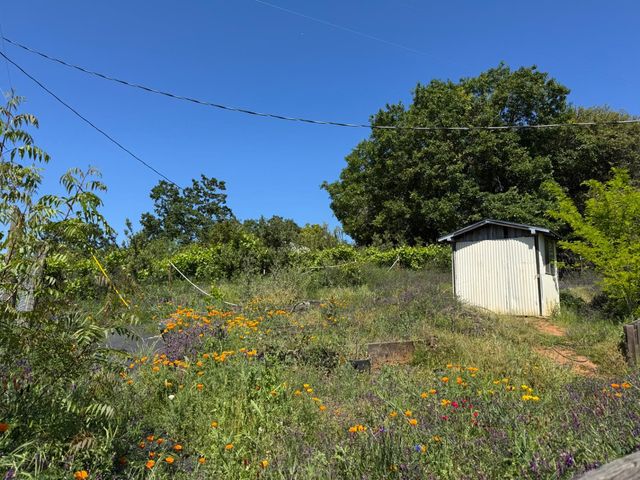 14764 Tanyard Hill Rd, Pine Grove, CA 95665