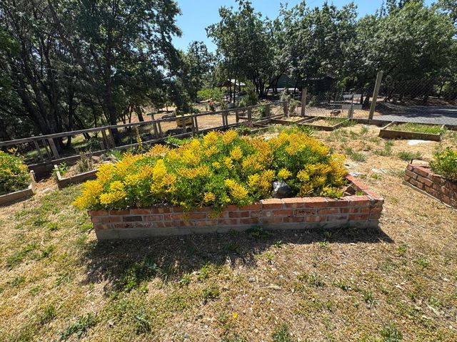 14764 Tanyard Hill Rd, Pine Grove, CA 95665