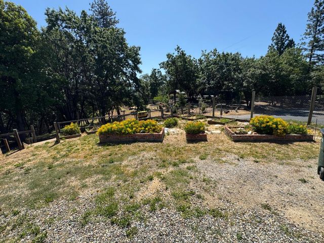 14764 Tanyard Hill Rd, Pine Grove, CA 95665