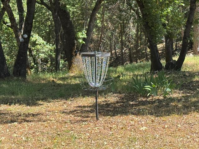 14764 Tanyard Hill Rd, Pine Grove, CA 95665