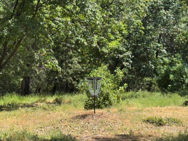 14764 Tanyard Hill Rd, Pine Grove, CA 95665