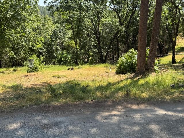 14764 Tanyard Hill Rd, Pine Grove, CA 95665