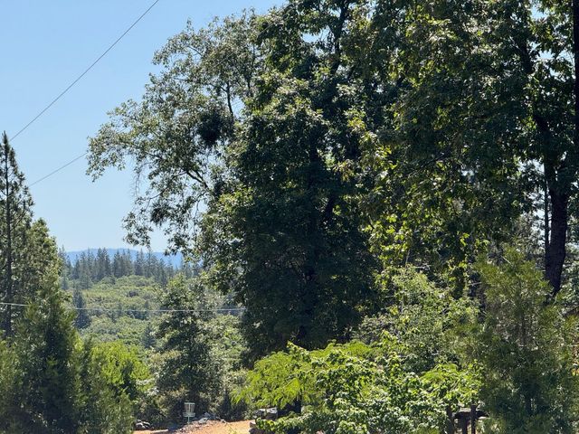 14764 Tanyard Hill Rd, Pine Grove, CA 95665