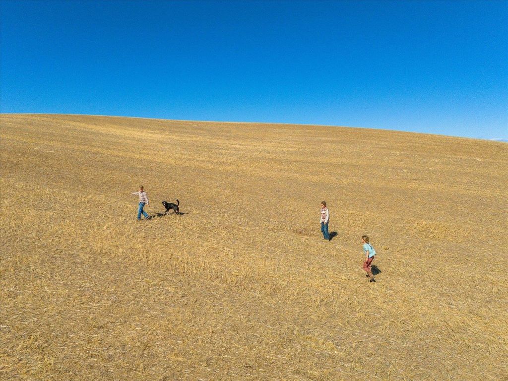 XXX E Cornwall Rd, Spangle, WA 99031 photo 2