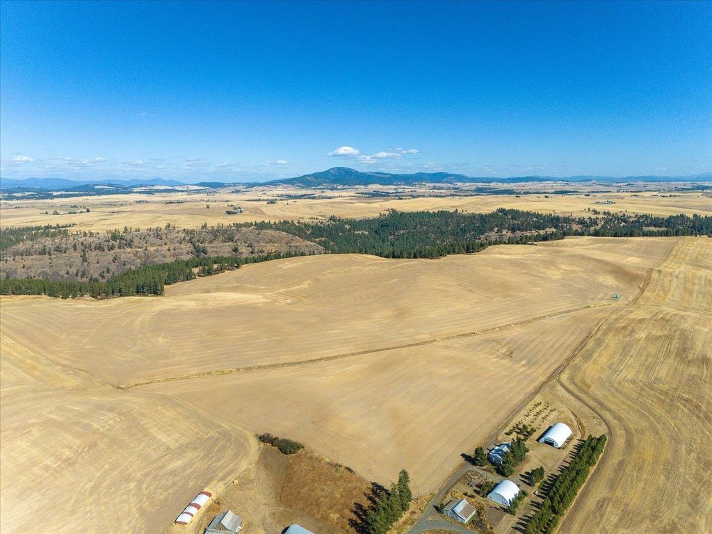 XXX E Cornwall Rd, Spangle, WA 99031 photo 11