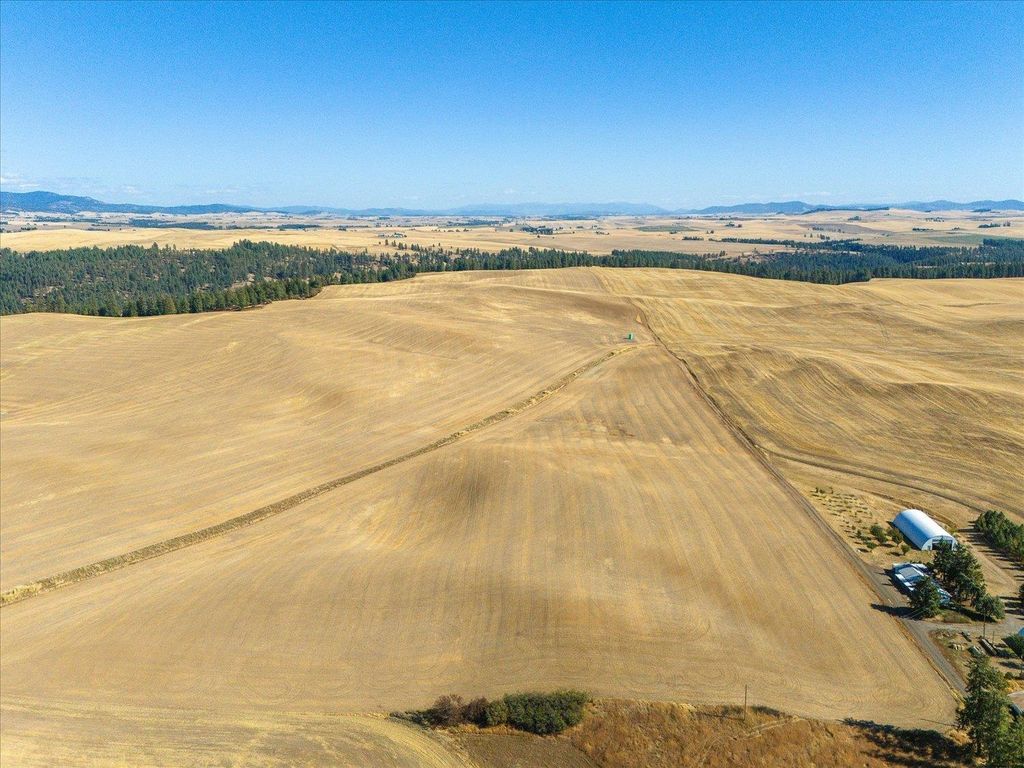 XXX E Cornwall Rd, Spangle, WA 99031 photo 13