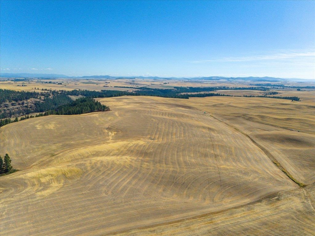 XXX E Cornwall Rd, Spangle, WA 99031 photo 14