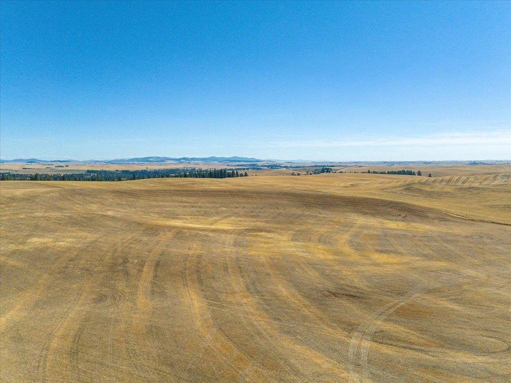 XXX E Cornwall Rd, Spangle, WA 99031 photo 16