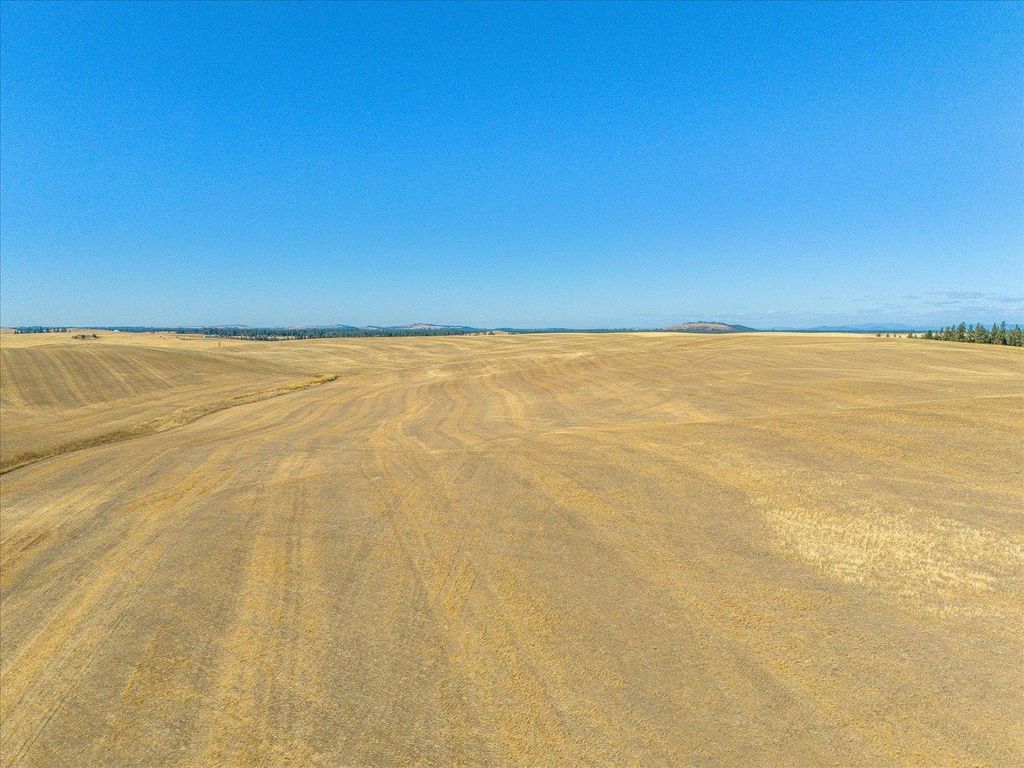XXX E Cornwall Rd, Spangle, WA 99031 photo 17