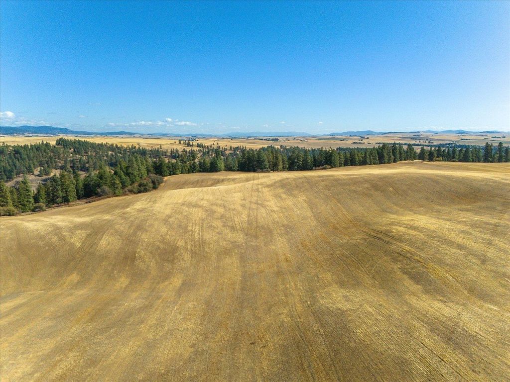 XXX E Cornwall Rd, Spangle, WA 99031 photo 19