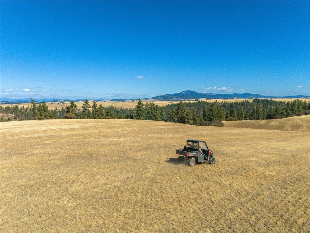 XXX E Cornwall Rd, Spangle, WA 99031 photo 3