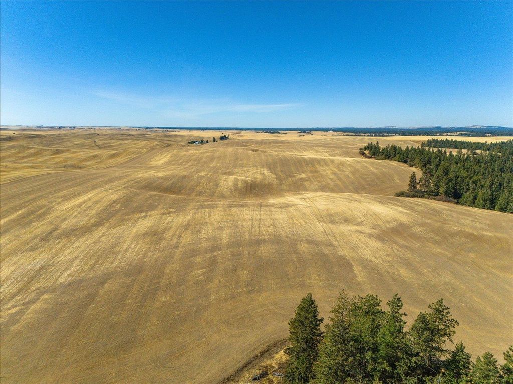 XXX E Cornwall Rd, Spangle, WA 99031 photo 22