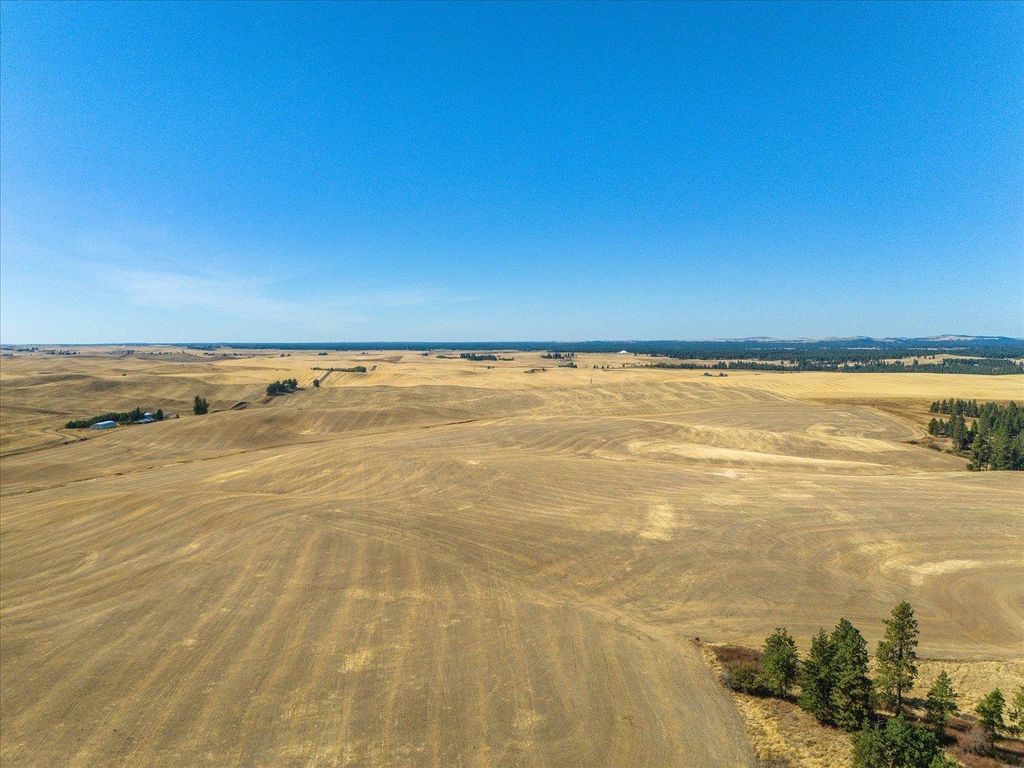 XXX E Cornwall Rd, Spangle, WA 99031 photo 23